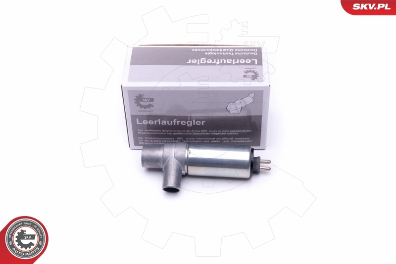 Idle Control Valve, air supply